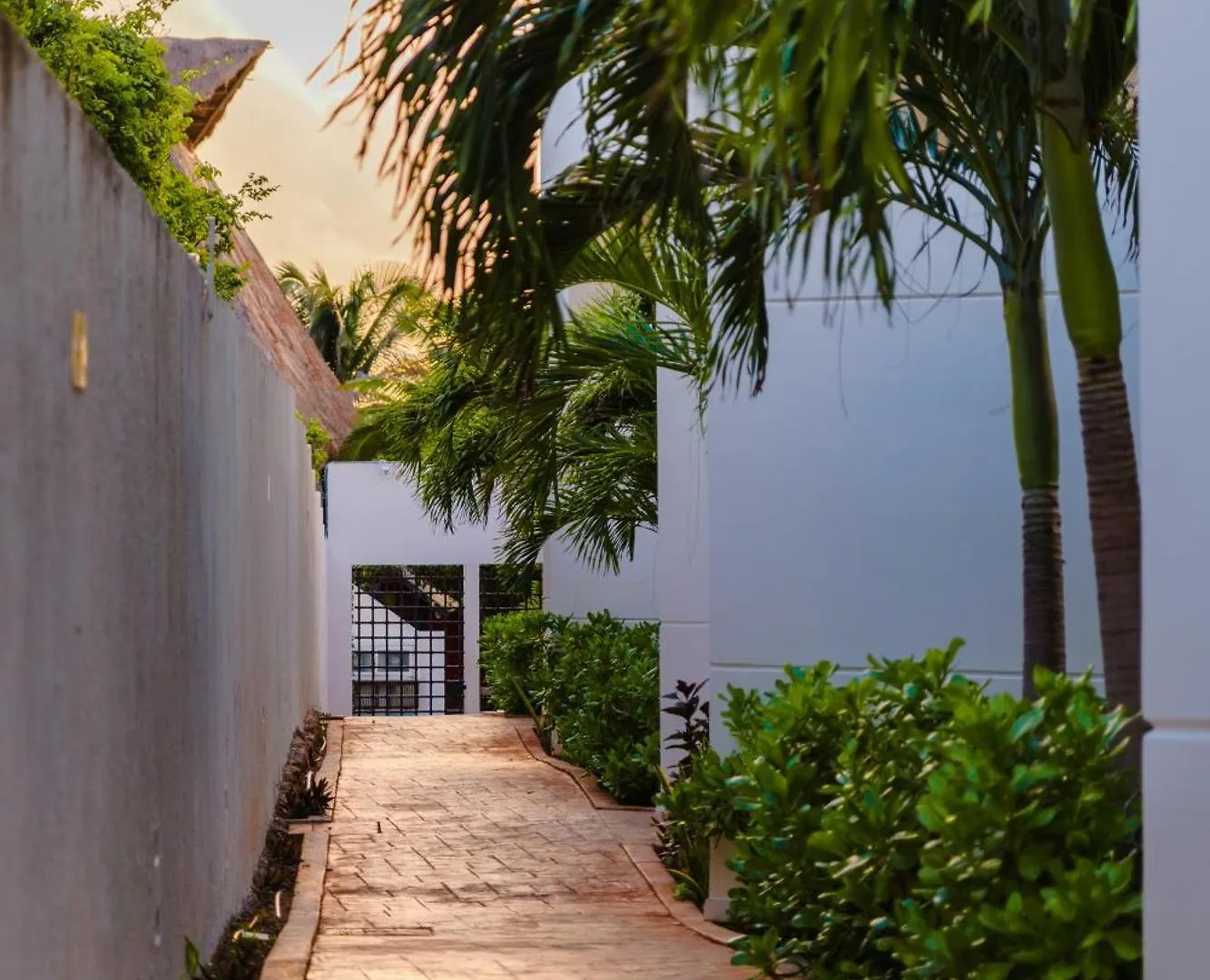 Azulea Isla Mujeres Hotel