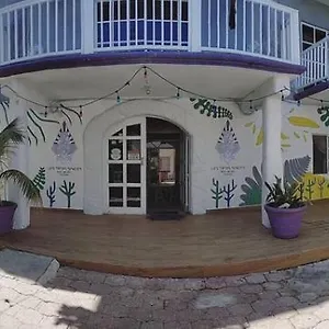 Hostal Les Trois Singes - Friendly Hostel, Isla Mujeres