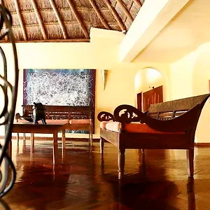 Mosquito Blue (adults Only) 4*, Playa del Carmen México