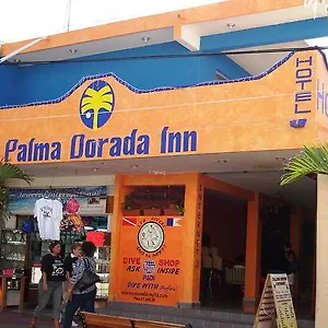 Palma Dorada 2*, Cozumel México